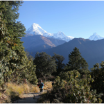Nepal’s Short Himalayan Escapes: Langtang, Mardi, and Poon Hill