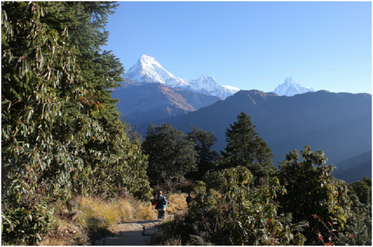 Nepal’s Short Himalayan Escapes: Langtang, Mardi, and Poon Hill