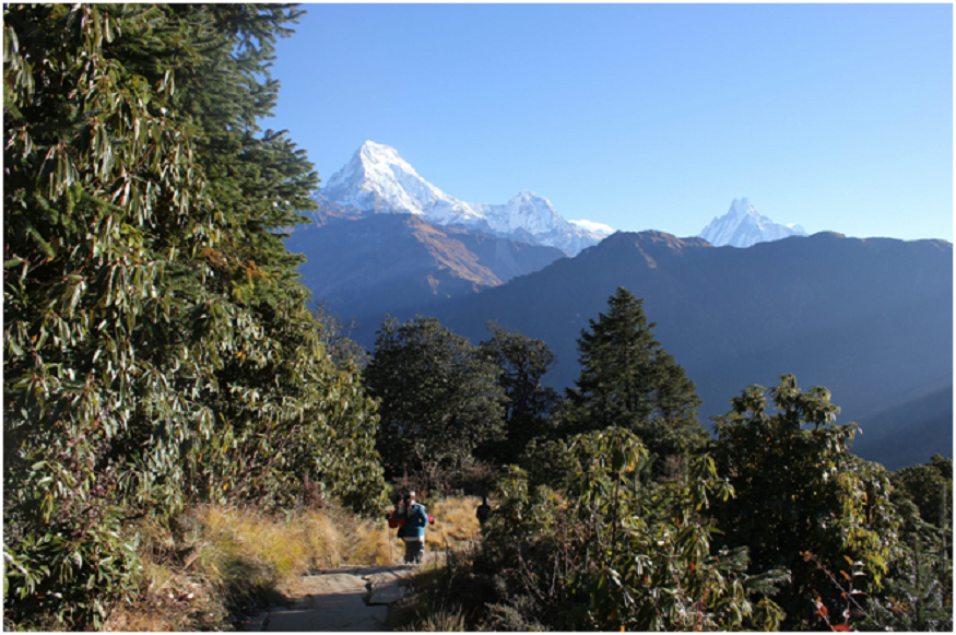 Nepal’s Short Himalayan